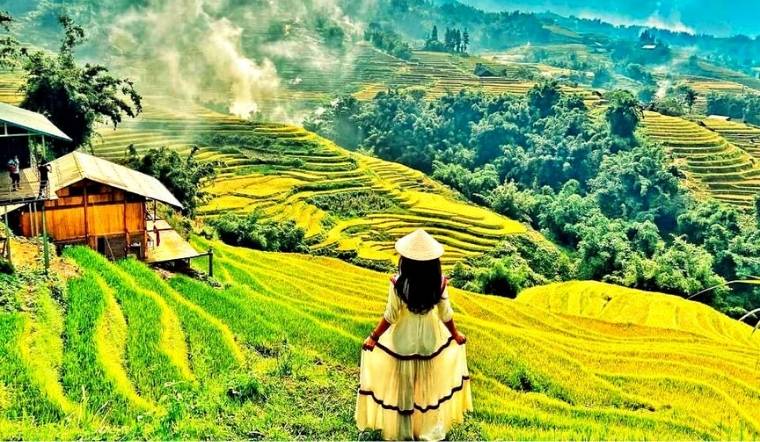Kinh nghiệm du lịch Sapa mùa thu: Săn lúa chín, săn mây