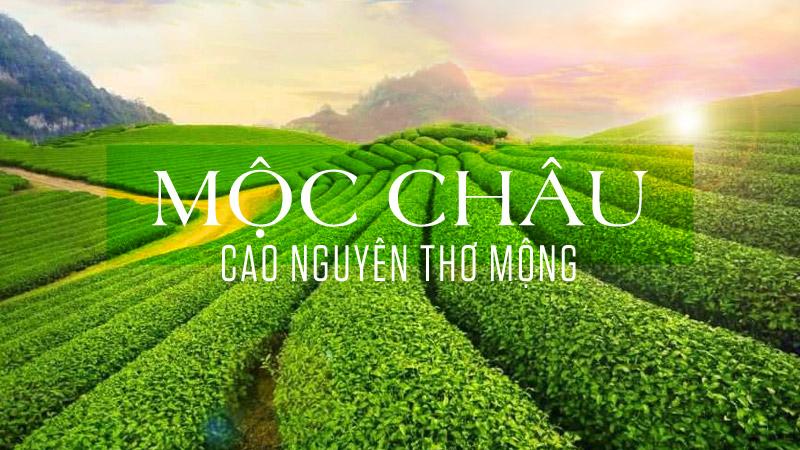 Lịch trình du lịch Mộc Châu 2 ngày 1 đêm