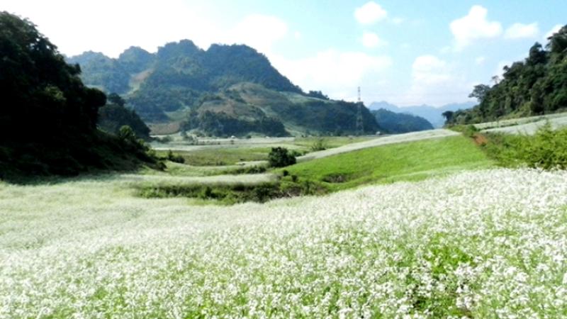 Bản Búa, xã Đông Sang