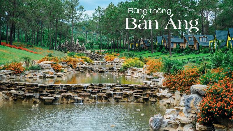 Rừng thông Bản Áng lãng mạn