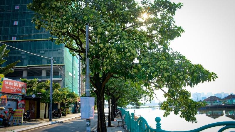 Đường ven Hồ Tây