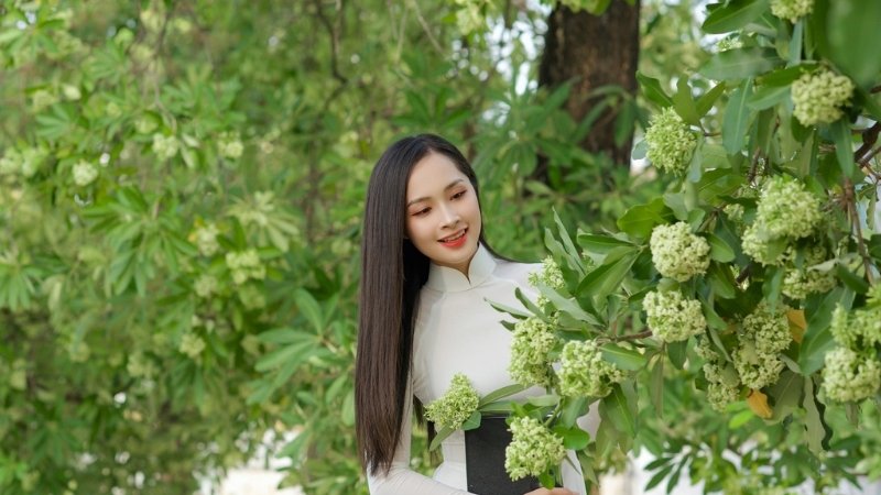 Những trải nghiệm không thể bỏ lỡ cùng mùa hoa sữa