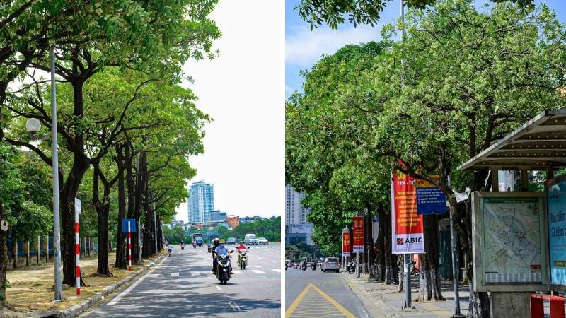 Đường Hoàng Quốc Việt & Trần Duy Hưng