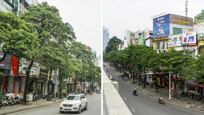 Đường Nguyễn Chí Thanh