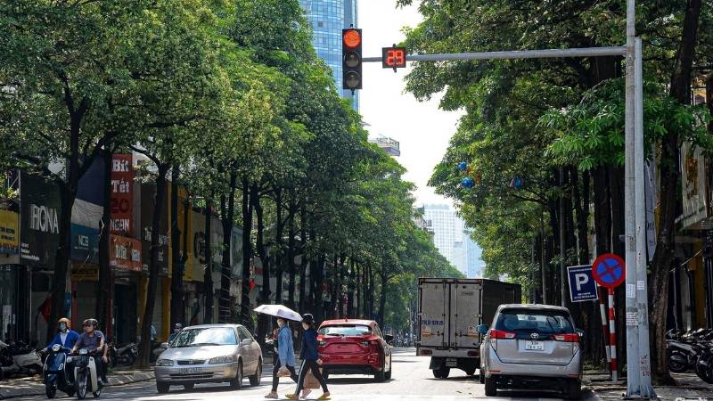 Hoa sữa Hà Nội nở vào tháng mấy?