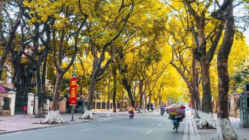 Những con phố lãng mạn của Hà Nội