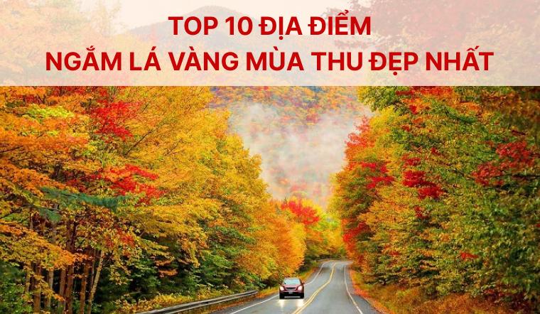 Top 10 địa điểm ngắm lá vàng mùa thu đẹp nhất trong và ngoài nước