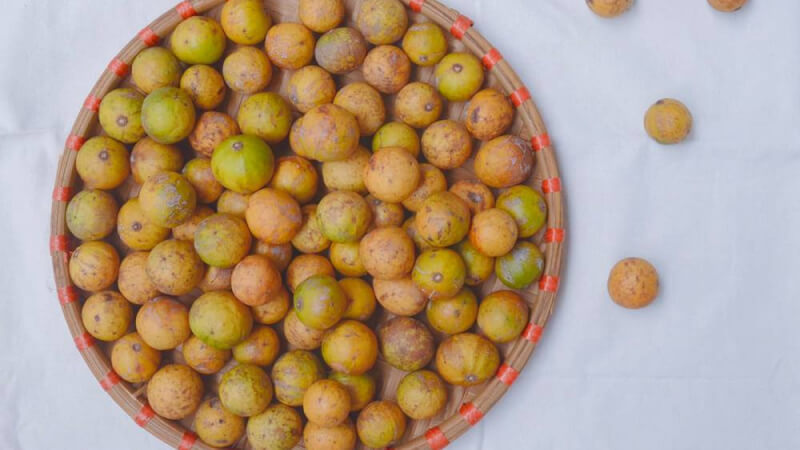 Mùa sấu chín kéo dài bao lâu
