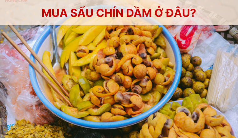 Mua sấu chín dầm ở đâu ngon? "Săn" ngay 5 địa chỉ chuẩn vị