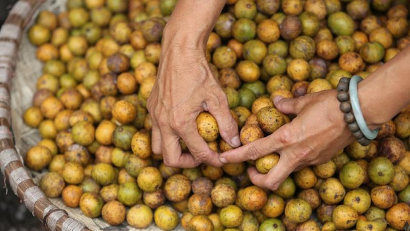Mua sấu chín dầm tại các khu chợ truyền thống