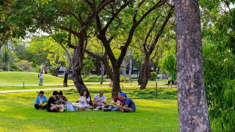 Tổ chức dã ngoại tại công viên Thống Nhất