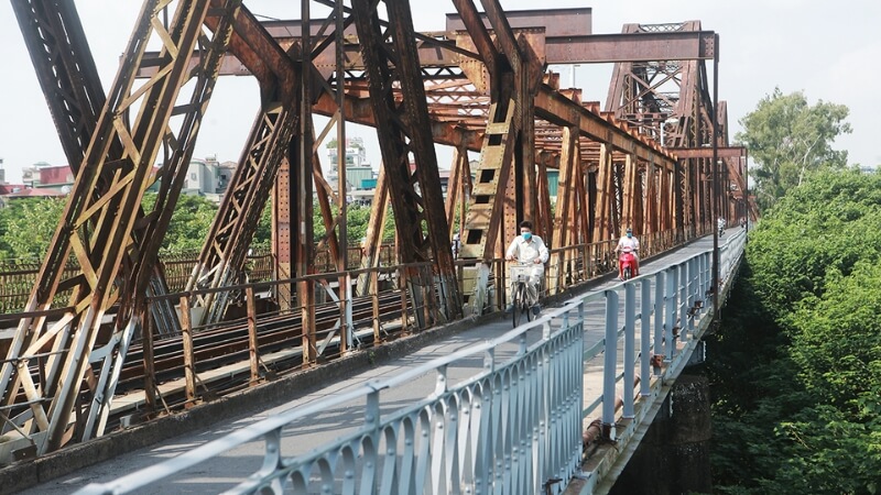 Chiêm ngưỡng những cánh đồng hoa cúc vàng rực rỡ