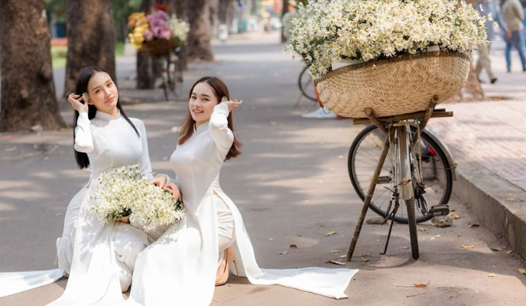 Bí kíp check-in với xe hoa cúc họa mi đẹp như nàng thơ Hà Nội