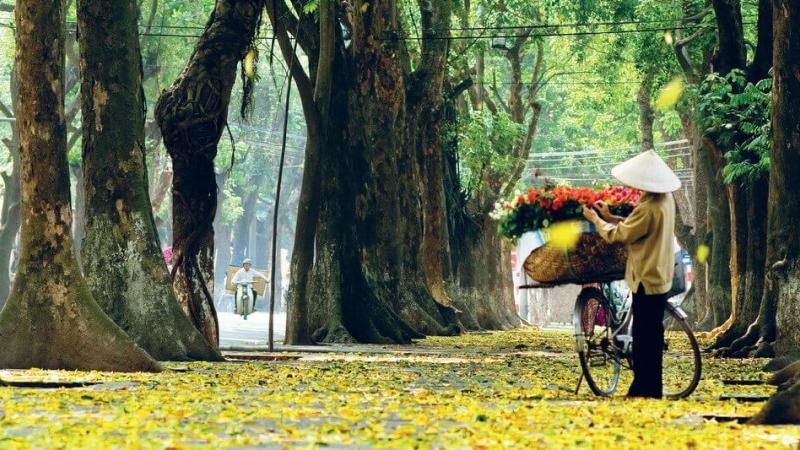 Mùa thu được xem là mùa đẹp nhất trong năm