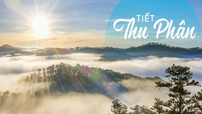 Phân biệt Lập thu và Thu phân