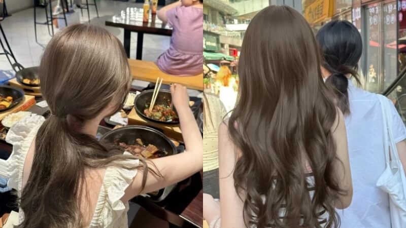 Nâu Hạt Phỉ - Độc đáo và bền màu Nâu Hạt Phỉ - Độc đáo và bền màu
