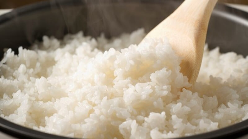 Câu hỏi thường gặp khi hâm cơm bằng lò vi sóng