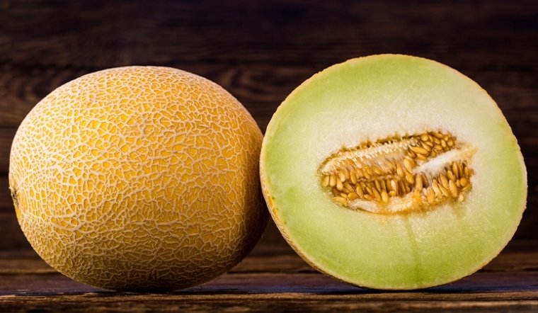 Dưa lưới Galia: Giống dưa Israel thơm ngọt và cách trồng