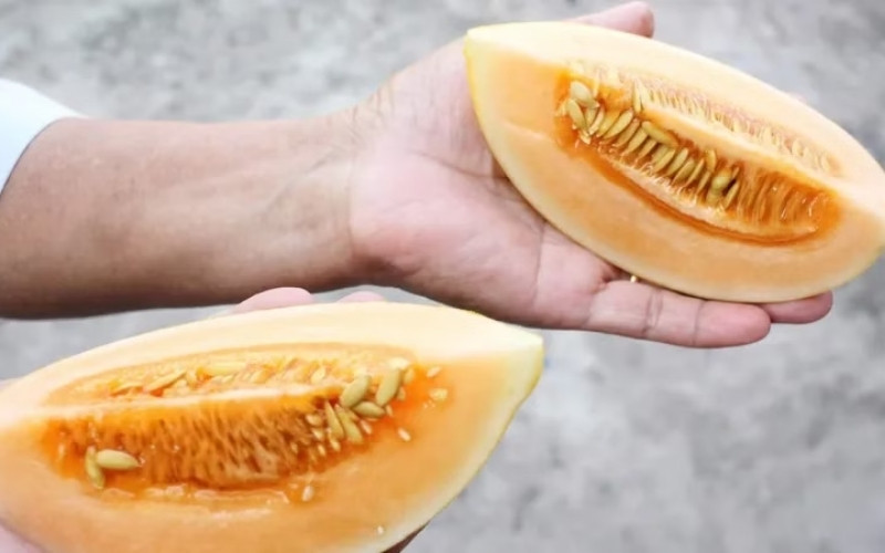 Dưa lưới Hoàng Kim giàu khoáng chất và vitamin giúp ổn định huyết áp, bảo vệ tim mạch