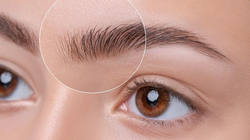 Sợi mày mọc ngược hoặc xoắn thể hiện tính nóng nảy, dễ vướng thị phi