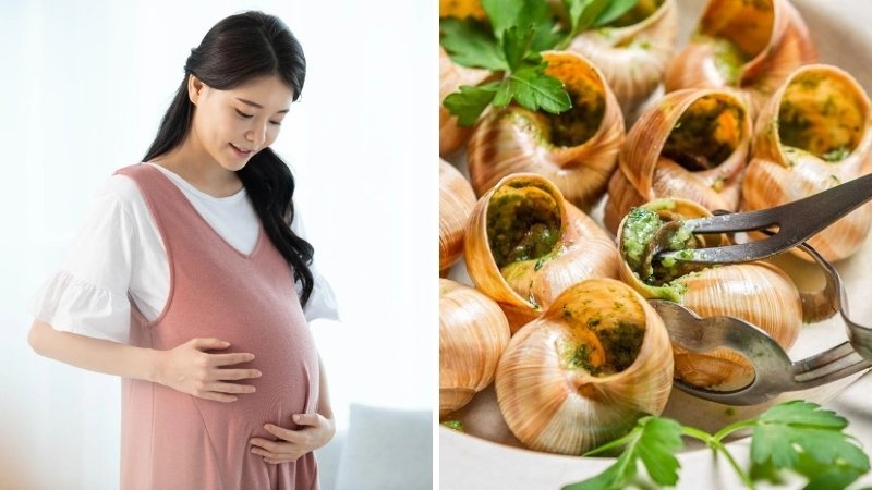 Những lợi ích "vàng" khi bà bầu ăn ốc Những lợi ích "vàng" khi bà bầu ăn ốc