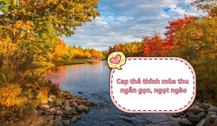 99+ cap thả thính mùa thu ngắn gọn, ngọt ngào và lãng mạng
