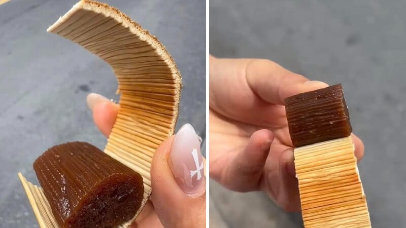 Lớp vỏ mo cau Lớp vỏ mo cau