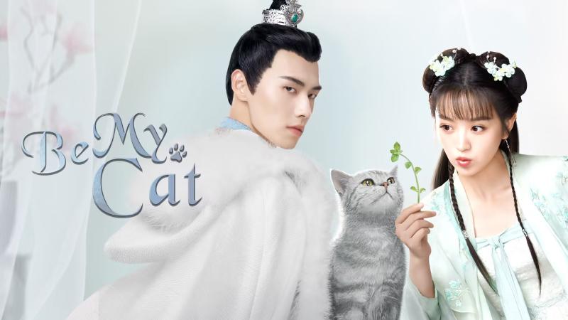 Mặc Kỳ - một tướng quân có ngoại hình giống chú mèo cưng của Tô Tiểu Hà