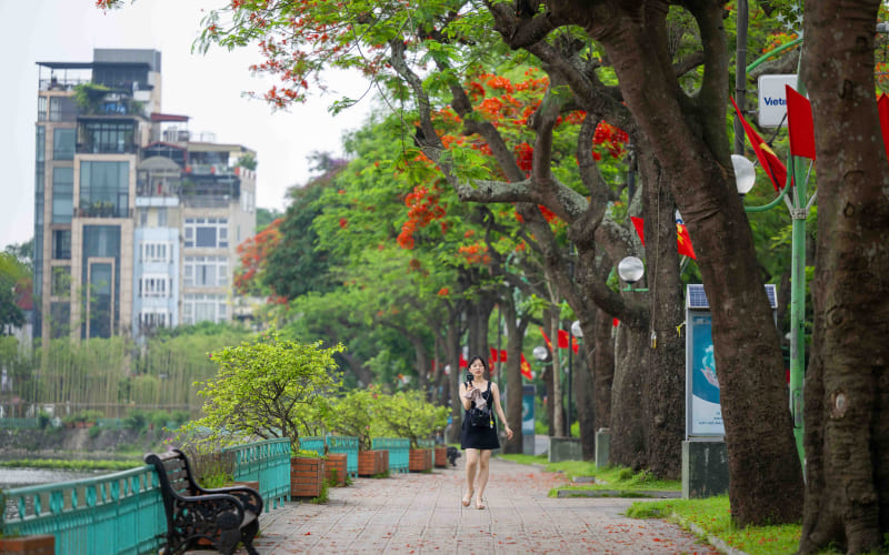 Đường Thanh Niên Đường Thanh Niên