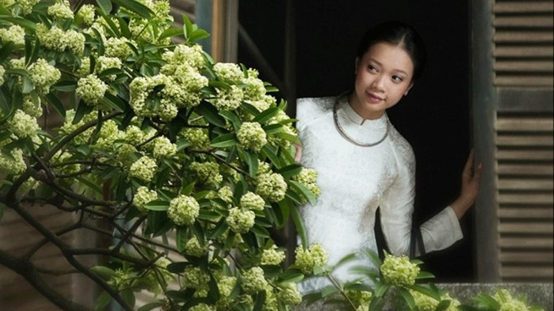 Tháng 8 đến tháng 11 là thời điểm tận hưởng trọn vẹn mùa thu Hà Nội