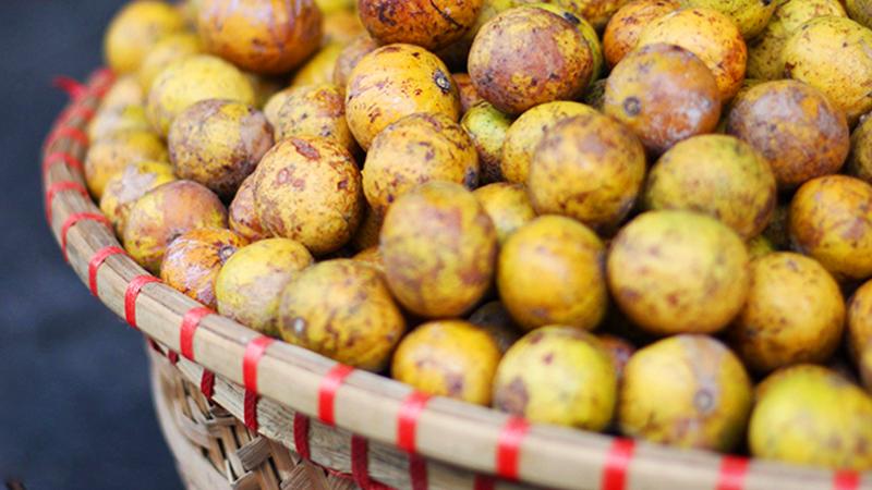 Cận cảnh quả sấu chín mọng mùa thu