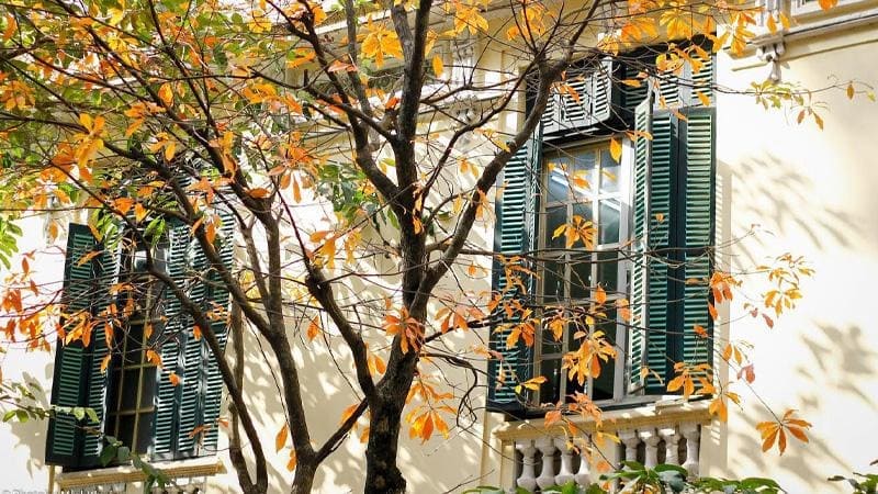 Nắng thu chiếu nhẹ trên ô cửa sổ cũ kỹ