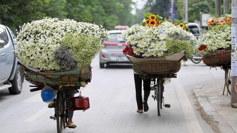Gánh hàng rong với những bó thạch thảo tím rực rỡ
