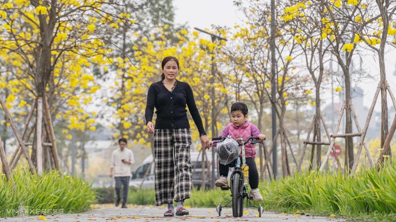 Người đi dạo trong sắc vàng mùa thu, xe đạp khẽ lăn bánh trên phố