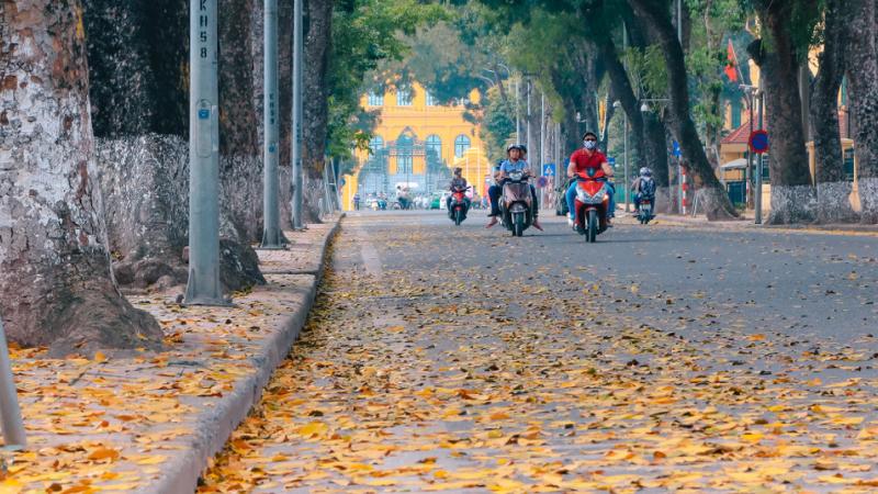 Góc phố nhỏ yên bình, lác đác lá vàng rơi