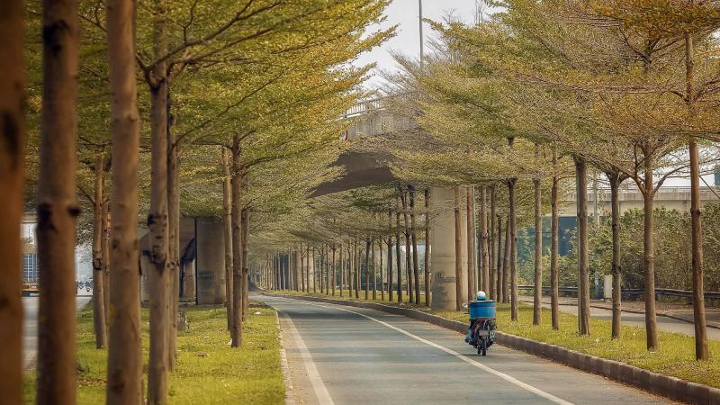 Góc phố nhỏ yên bình, lác đác lá vàng rơi