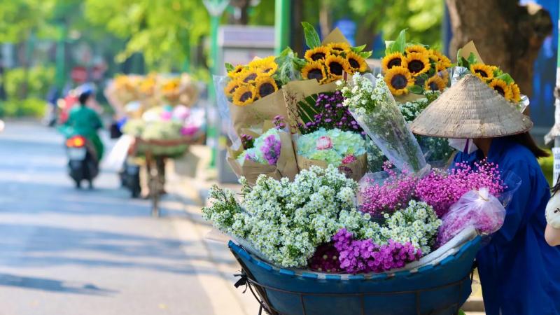 Gánh hàng rong với những bó thạch thảo tím rực rỡ