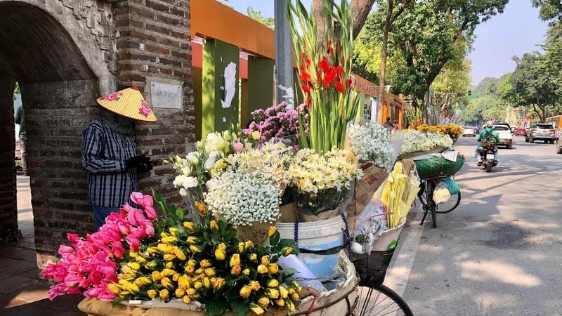Xe hoa rong trên phố cổ, dưới ánh nắng thu