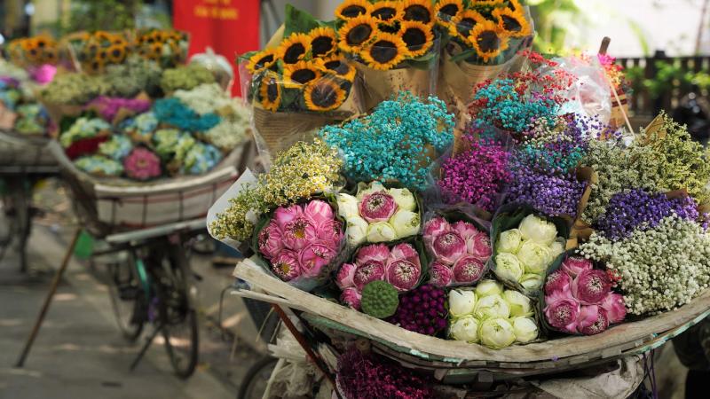Hình ảnh xe hoa bên hồ êm đềm lặng lẽ tại Hà Nội