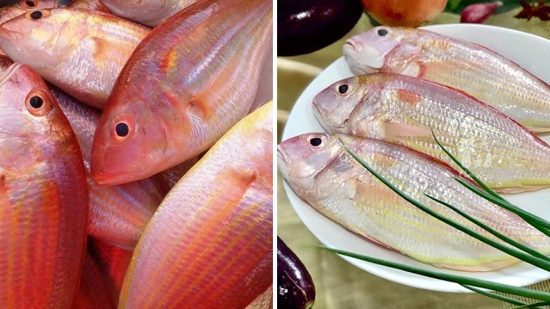 Cá đổng làm món gì ngon "hết sảy"?