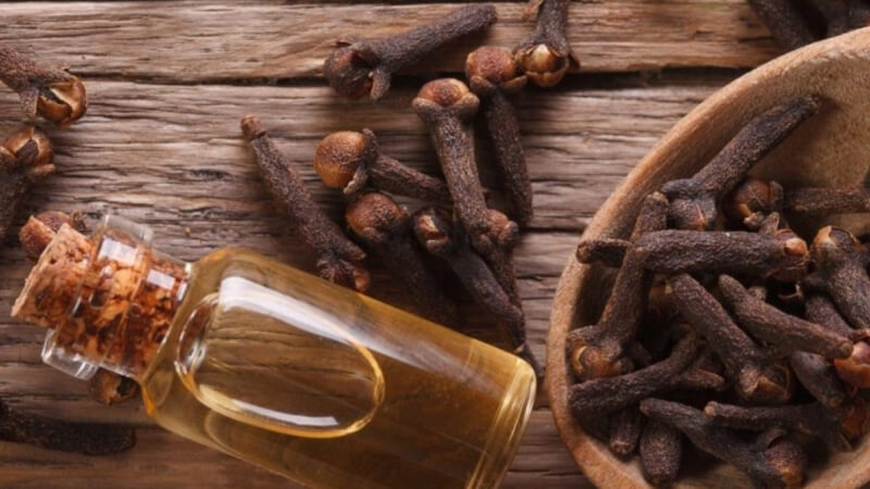 Lưu ý khi sử dụng trà đinh hương