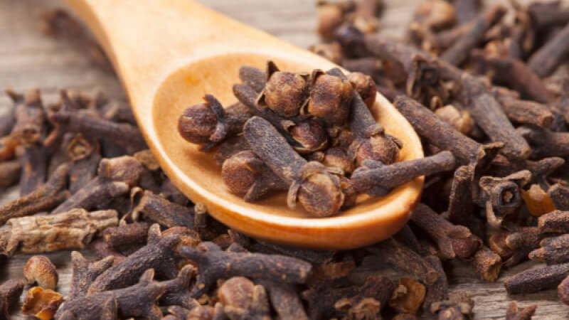 Trà nụ đinh hương