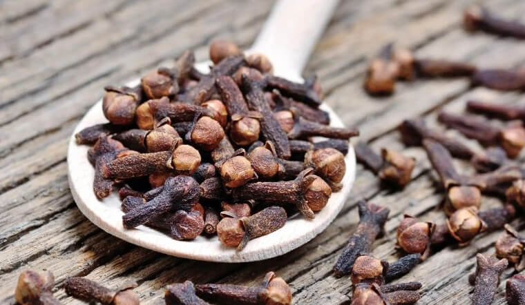 Trà nụ đinh hương: Công dụng và cách pha trà tốt cho sức khỏe