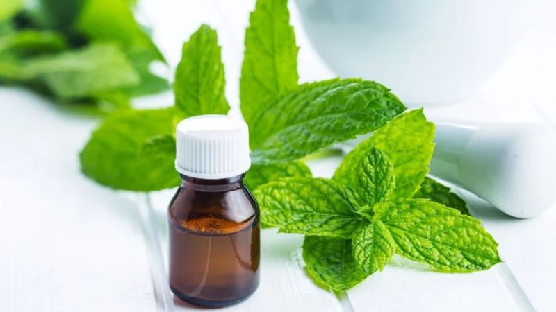 Tinh dầu bạc hà và chiết xuất bồ kết