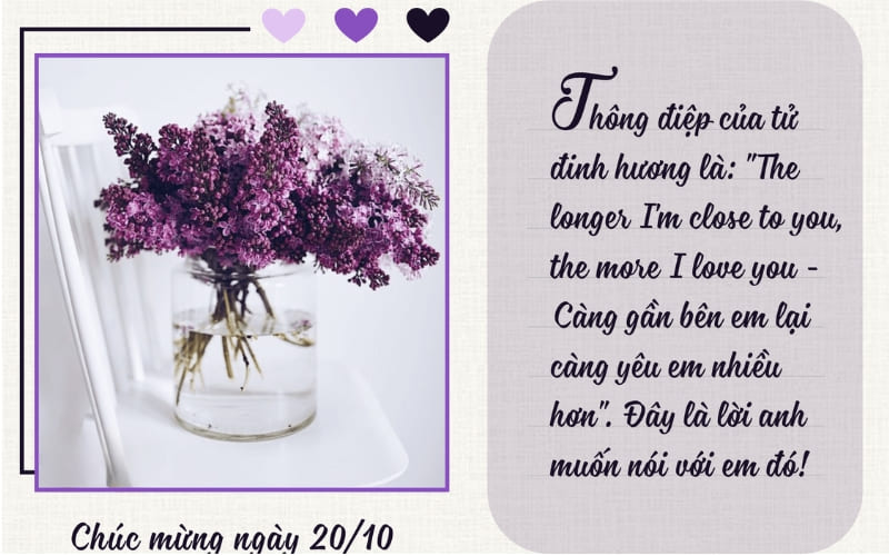 Bức ảnh kèm lời chúc tinh tế làm trái tim vui tươi.