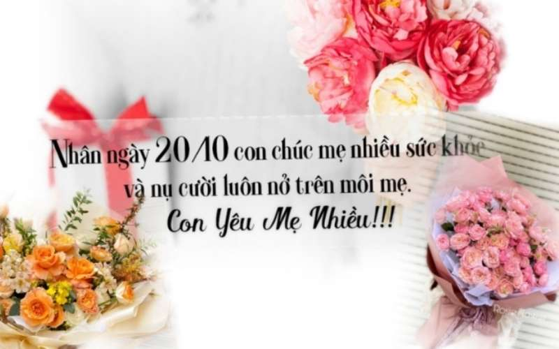 Lời chúc 20/10 cho mẹ đầy cảm động, bày tỏ lòng biết ơn