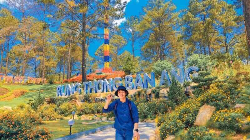 Di chuyển về khu vực Rừng thông Bản Áng