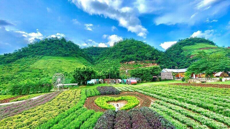 Lên xe trở về Hà Nội, dừng chân tại Ba Vì