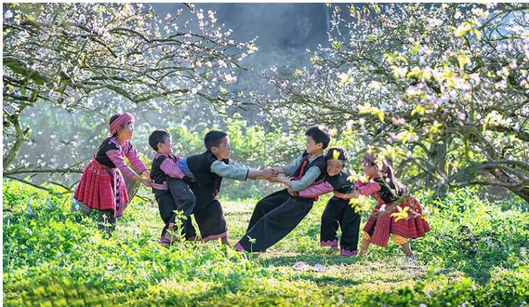 Du lịch Mộc Châu 2 ngày 1 đêm: Lịch trình, chi phí tự túc A-Z