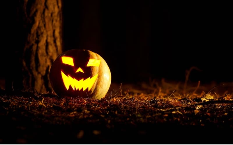Background giản lược chi tiết nhưng vẫn đậm chất Halloween. Background giản lược chi tiết nhưng vẫn đậm chất Halloween.